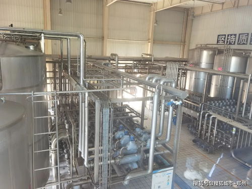 楓葉寶貝探秘花花牛工廠，行走課堂解鎖童年新體驗